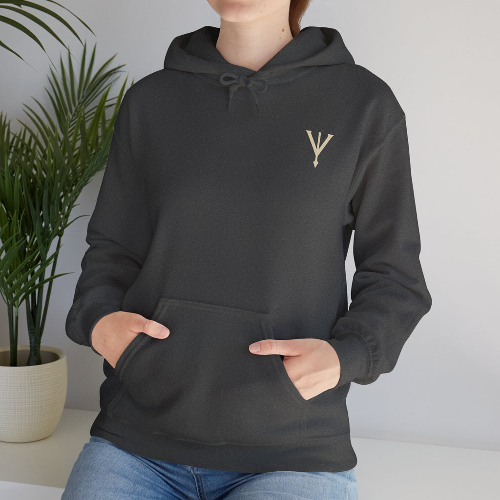 Dagoro Dragon Rune Mystic Hoodie — Nordic Runic Fantasy Hoodie